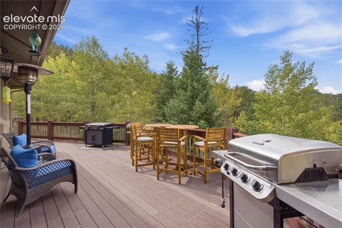 Tiny photo for 609 Crystola Court, Woodland Park, CO 80863 (MLS # 4712950)