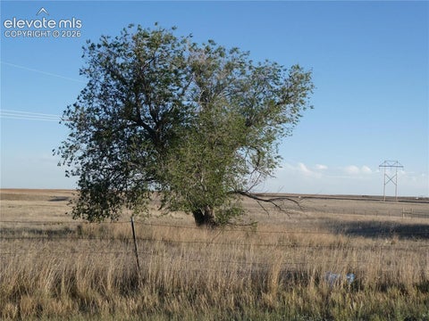 Photo of 33677 Big Springs Road, Yoder, CO 80864 (MLS # 5228315)