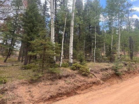 Photo of 687 Trout Haven Road, Florissant, CO 80816 (MLS # 4653013)