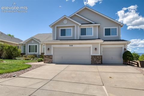 Photo of 705 Witchhazel Court, Colorado Springs, CO 80921 (MLS # 3182999)