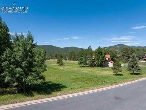Photo of 921 Heather Court, Woodland Park, CO 80863 (MLS # 3283658)