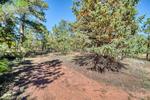 Tiny photo for 1867 Woodland Avenue, Woodland Park, CO 80863 (MLS # 8692895)