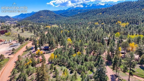 Tiny photo for 1867 Woodland Avenue, Woodland Park, CO 80863 (MLS # 8692895)
