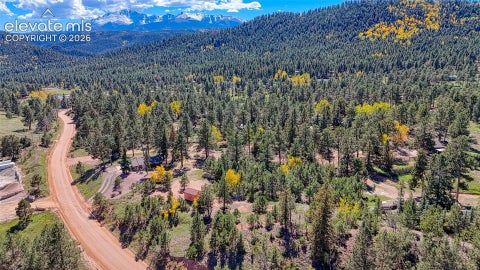Tiny photo for 1867 Woodland Avenue, Woodland Park, CO 80863 (MLS # 8692895)