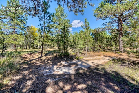 Tiny photo for 1867 Woodland Avenue, Woodland Park, CO 80863 (MLS # 8692895)