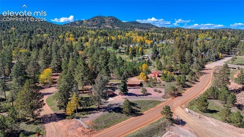 Tiny photo for 1867 Woodland Avenue, Woodland Park, CO 80863 (MLS # 8692895)