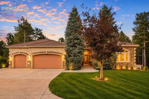 Photo of 18015 Bankhurst Court, Monument, CO 80132 (MLS # 1666054)