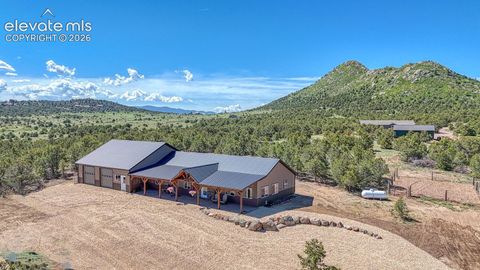 1625 Black Cloud Circle Westcliffe CO 81252