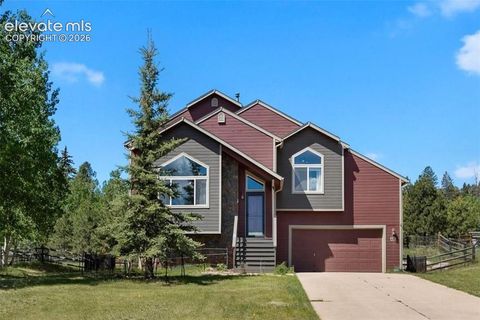 Photo of 481 Black Bear Trail, Woodland Park, CO 80863 (MLS # 1131069)