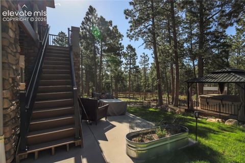 Tiny photo for 16021 Fox Mesa Court, Monument, CO 80132 (MLS # 9904198)
