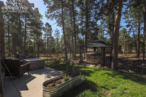 Tiny photo for 16021 Fox Mesa Court, Monument, CO 80132 (MLS # 9904198)