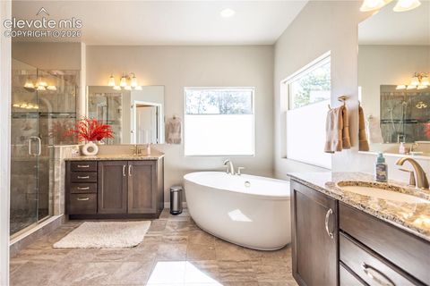 Tiny photo for 16021 Fox Mesa Court, Monument, CO 80132 (MLS # 9904198)
