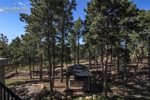 Tiny photo for 16021 Fox Mesa Court, Monument, CO 80132 (MLS # 9904198)
