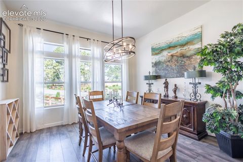 Tiny photo for 16021 Fox Mesa Court, Monument, CO 80132 (MLS # 9904198)