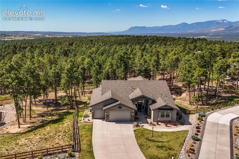 Photo of 16021 Fox Mesa Court, Monument, CO 80132 (MLS # 9904198)