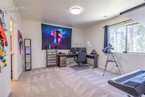 Tiny photo for 16021 Fox Mesa Court, Monument, CO 80132 (MLS # 9904198)
