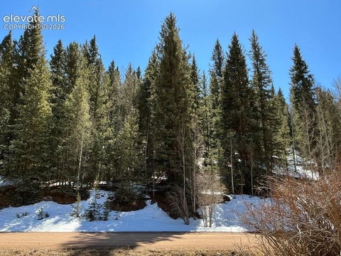 Photo of 2206 Anges Drive, Cripple Creek, CO 80813 (MLS # 1307881)