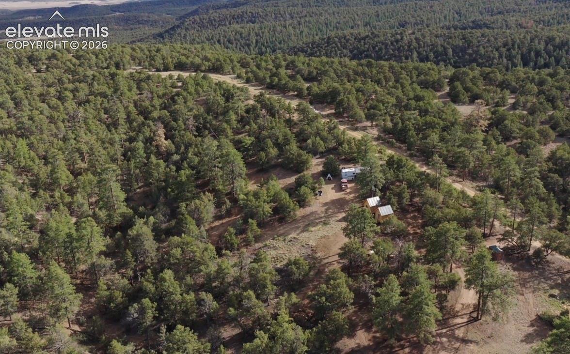 Lot 3 County Road 634.2