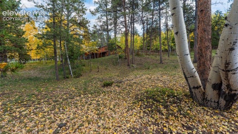 Tiny photo for 1001 Paradise Valley Drive, Woodland Park, CO 80863 (MLS # 3617839)