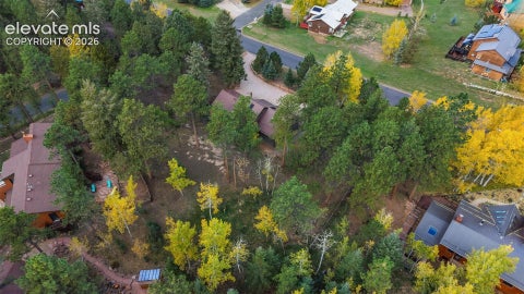 Tiny photo for 1001 Paradise Valley Drive, Woodland Park, CO 80863 (MLS # 3617839)