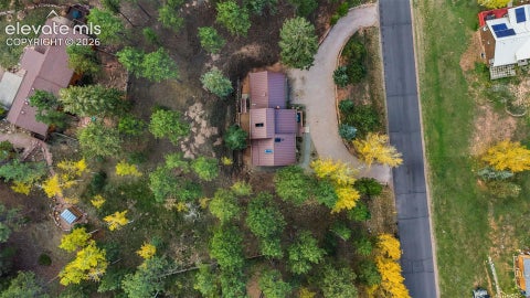 Tiny photo for 1001 Paradise Valley Drive, Woodland Park, CO 80863 (MLS # 3617839)
