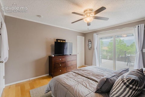 Tiny photo for 3640 Trailspur Place, Colorado Springs, CO 80906 (MLS # 4796694)