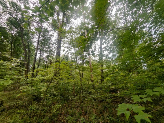 200 W 12TH ST, NECEDAH, WI 54646 - Image 0445f5705eb1de0ecbc4ce13fa65b8c3/3672498088