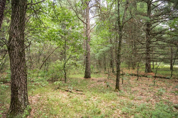 MORRO'S MILE RD, NECEDAH, WI 54646 - Image 82e6978bbdc464cd4c8f3390d0bbba0c/4181192616