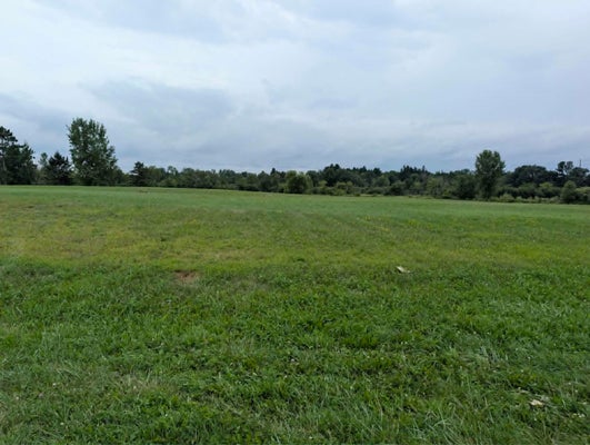 203 BUAN ST, TOMAH, WI 54660 - Image 8e2dd26d6d6f74ce5d9fa3a1aa7a38ff/4216165261