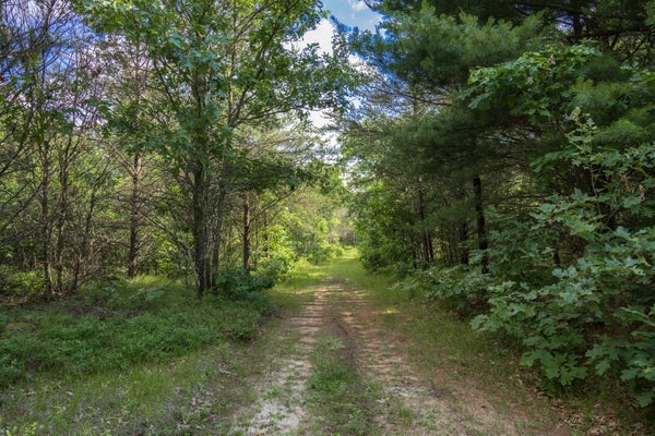 18TH ST W, NECEDAH, WI 54646 - Image 98e0848dcdbfc741ccd0958aeb7a107c/1022725470