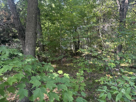 250 WHITE OAK LN, WISCONSIN DELLS, WI 53965 - Image b56ee64fbb8d7380cf82e4c9d47cae31/3207420807