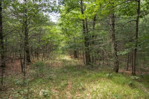 1617 20TH AVE, ARKDALE, WI 54613 - Image bed4982cdfd8b15640a3beaa224175ba/2775140187