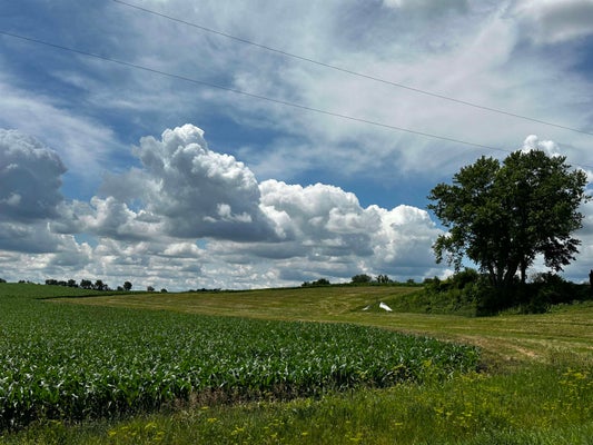 COUNTY RD BN, STOUGHTON, WI 53589 - Image bf8e457db327fcd376ef43ed71c1b094/783697289