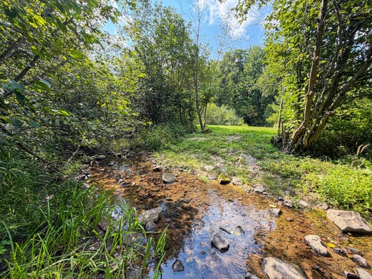 BACHELORS AVE, GREENWOOD, WI 54437 - Image c35c89985de018fcb66ffa4c8eec4fb6/1693738363