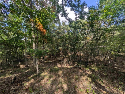 0 EMBER COURT, OXFORD, WI 53952 - Image c4c7e7dffde29b07d3d37d3c1663b723/3170918554