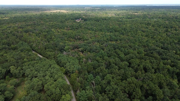 47TH ST, MAUSTON, WI 53948 - Image cd9c7d0dc53461dc3eba6d0c309449f3/2473932794