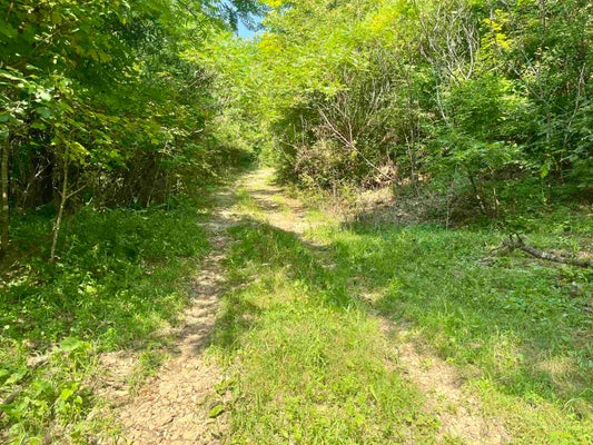 BYERS RD, BOSCOBEL, WI 53805 - Image fd531cf66350bfa4e2365cb12c490304/751543563