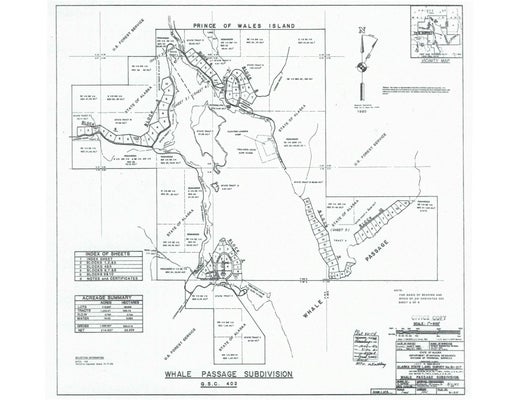HOLLIS RD 9, KETCHIKAN, AK 99950 - Image adaee8ce7c3146d92ccc880afc8bce74/1519773003