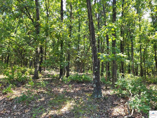 TRINCHERA RD, EDWARDS, MO 65326 - Image bb72a1ea3d2eba6e665b3904dce2c224/2390010476