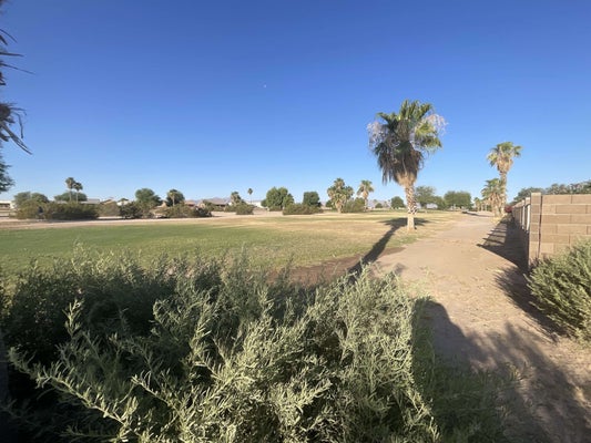 29837 E MOUNTAIN VIEW AVE, WELLTON, AZ 85356 - Image bb87f9682b065b56ca9b60872e33dba1/534183935