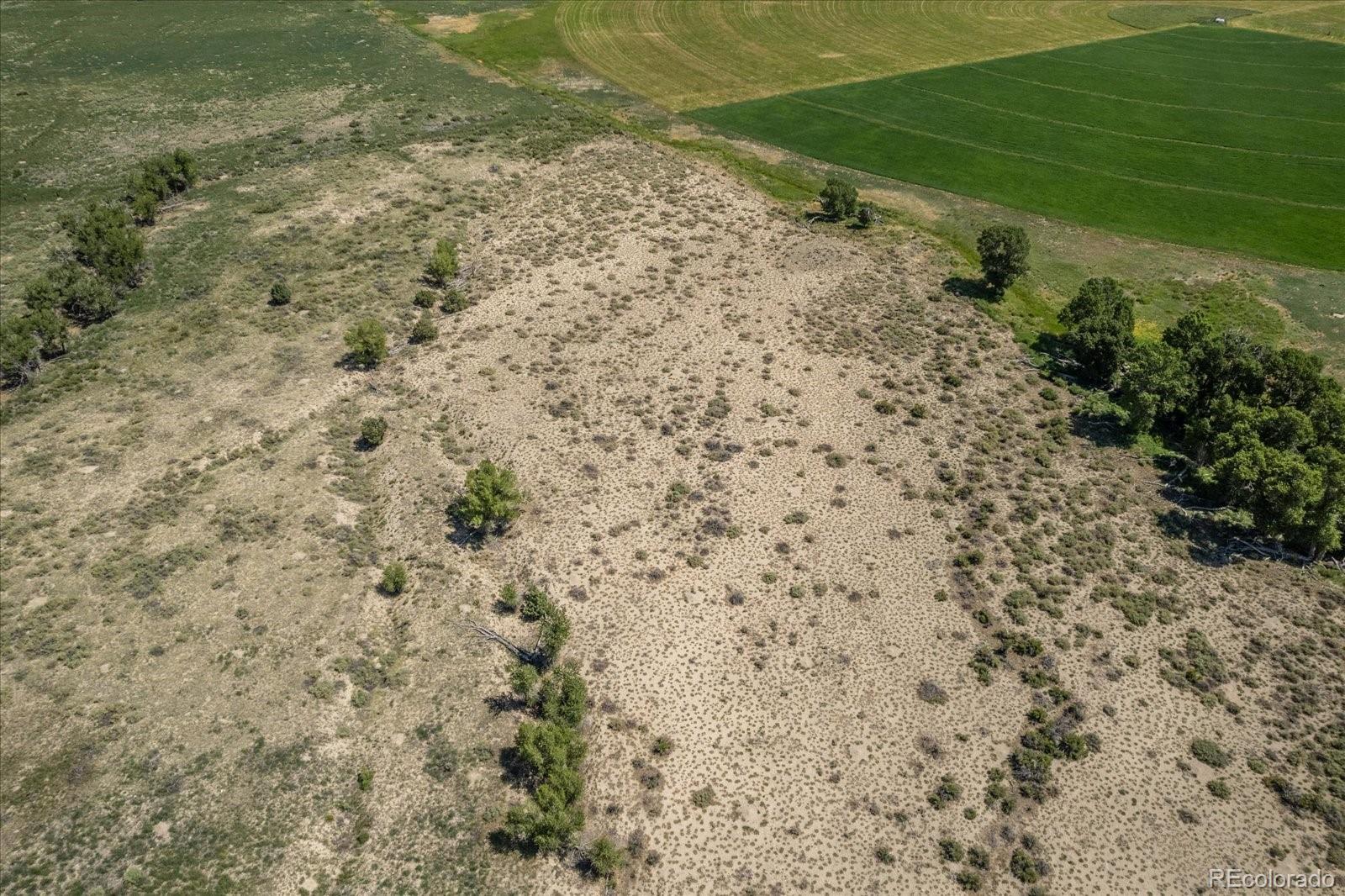 000 County Road 165