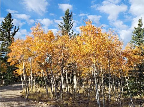 60 Mesa Court Como CO 80432