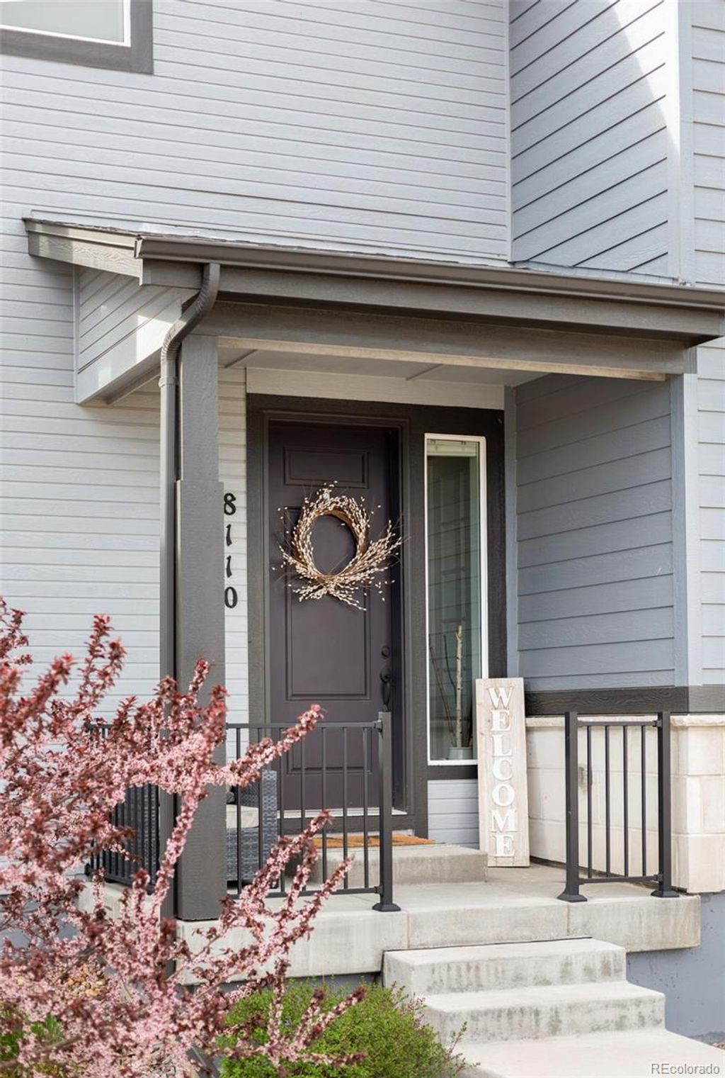 Photo of 8110 Sterling Ranch Avenue, Littleton, CO 80125 (MLS # 6121191)