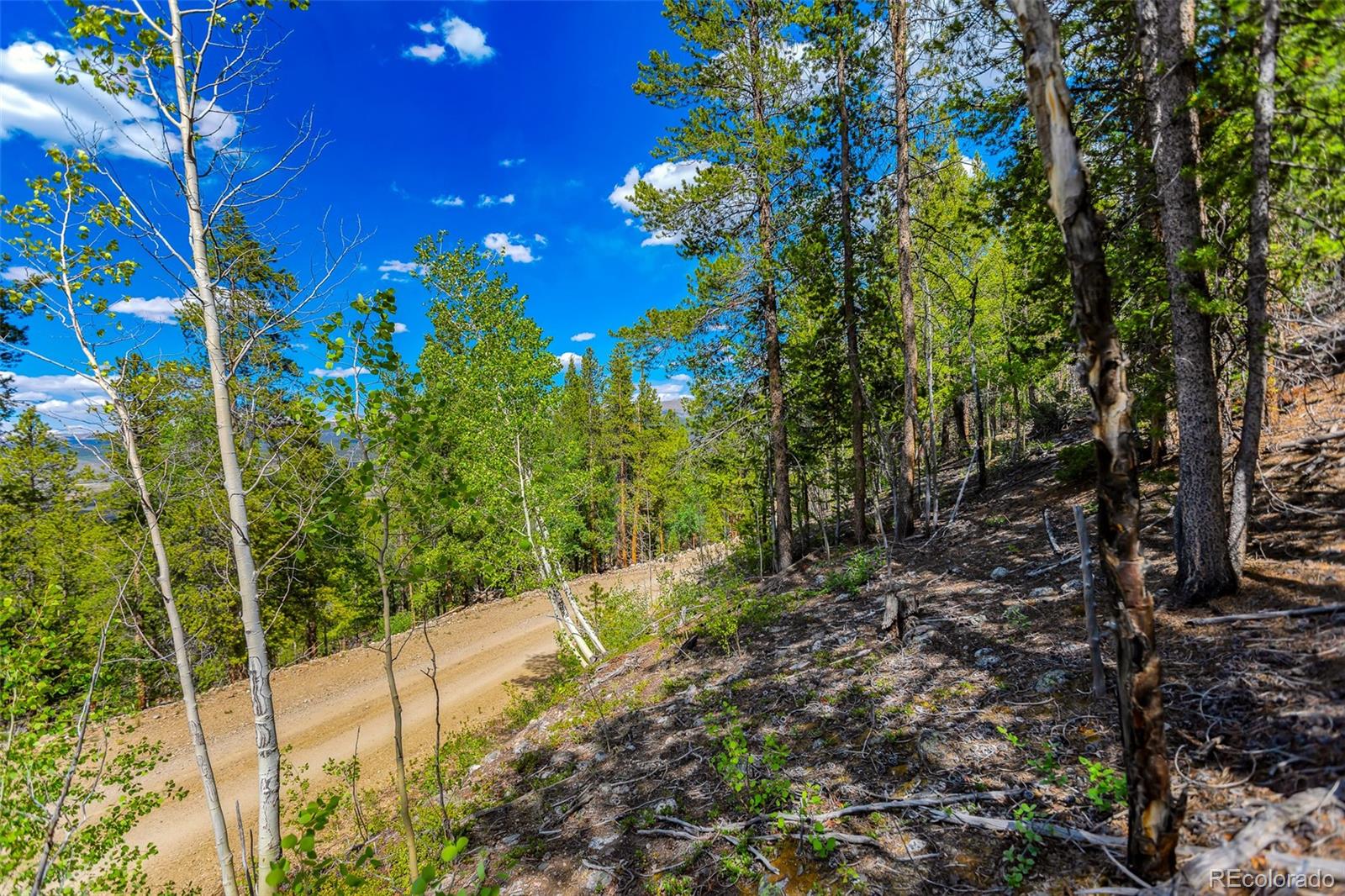198 Mt Elbert Road