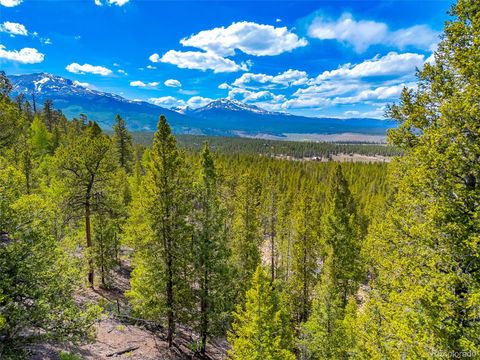 198 Mt Elbert Road Twin Lakes CO 81251