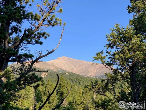 12190 Highway 7 Allenspark CO 80510