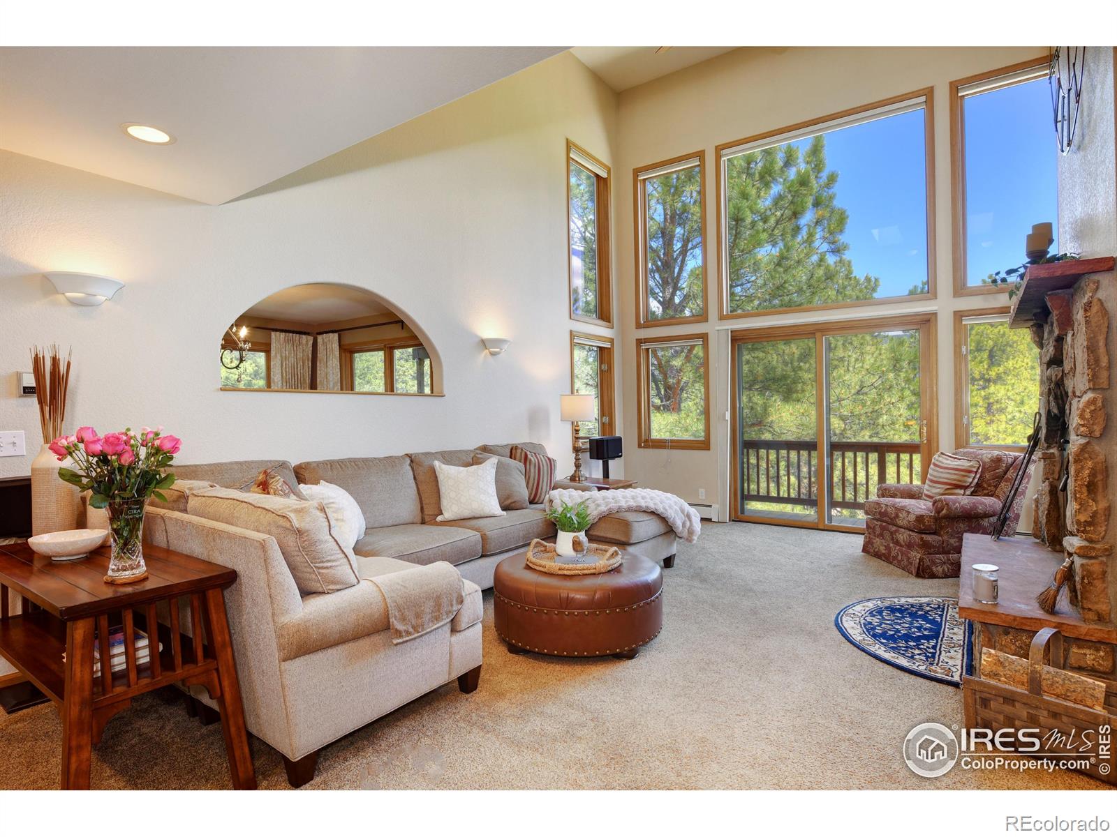234 Deer Lane
