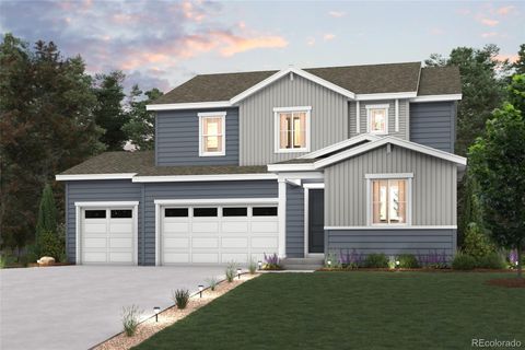 13920 Hanging Lake Street Parker Co 80138