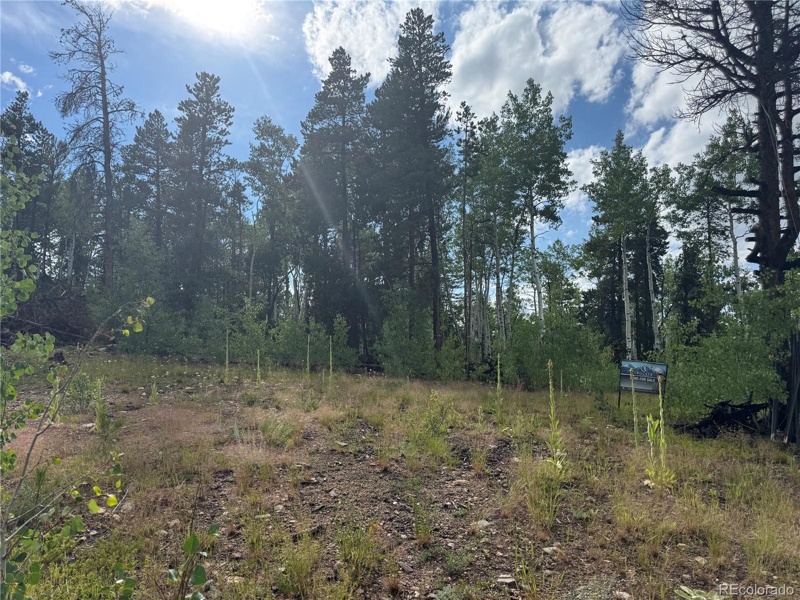 001 Church Placer Road