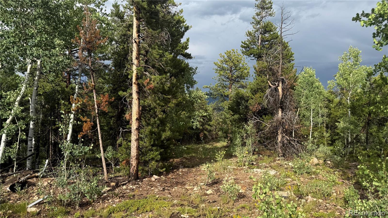 001 Church Placer Road